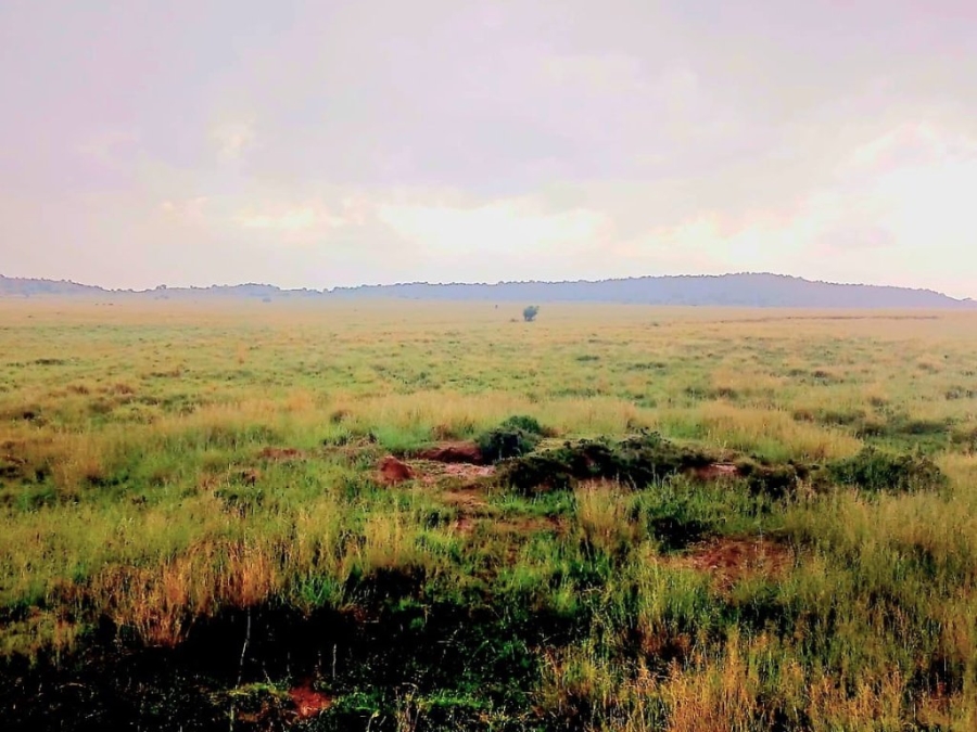 3 Bedroom Property for Sale in Bloemfontein Rural Free State